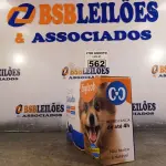 LOTE 562 - 01 TAPETE GELADO PARA REFRESCÂNCIA DE PET 50X65CM. (NOVO) (NO ESTADO) ATENÇÃO! FAZER A VISITAÇÃO ANTES DE ARREMATAR, NÃO SABEMOS SE FUNCIONA. LEILÃO NÃO TEM GARANTIA E NEM DEVOLUÇÃO, SUJEITO A POSSÍVEIS AVARIAS VISÍVEIS/OCULTAS E/OU AUSÊNCIA DE COMPONENTES.
