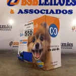 LOTE 550 - 01 TAPETE GELADO PARA REFRESCÂNCIA DE PET 50X90CM. (NOVO) (NO ESTADO) ATENÇÃO! FAZER A VISITAÇÃO ANTES DE ARREMATAR, NÃO SABEMOS SE FUNCIONA. LEILÃO NÃO TEM GARANTIA E NEM DEVOLUÇÃO, SUJEITO A POSSÍVEIS AVARIAS VISÍVEIS/OCULTAS E/OU AUSÊNCIA DE COMPONENTES.
