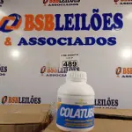 LOTE 489 - 02 CAIXAS COM COLA TUBO ST 175G COM 15 FRASCOS CADA. (NO ESTADO) ATENÇÃO! FAZER A VISITAÇÃO ANTES DE ARREMATAR, NÃO SABEMOS SE FUNCIONA. LEILÃO NÃO TEM GARANTIA E NEM DEVOLUÇÃO, SUJEITO A POSSÍVEIS AVARIAS VISÍVEIS/OCULTAS E/OU AUSÊNCIA DE COMPONENTES).