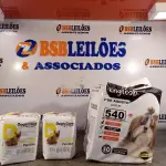LOTE 540 - 01 TAPETE HIGIÊNICO PARA PET COM 30 UNIDADES E 02 PACOTES DE ABSORVENTES TAMANHO GG COM 06 UNIDADES CADA PACOTE. (NOVO) (NO ESTADO) ATENÇÃO! FAZER A VISITAÇÃO ANTES DE ARREMATAR, NÃO SABEMOS SE FUNCIONA. LEILÃO NÃO TEM GARANTIA E NEM DEVOLUÇÃO, SUJEITO A POSSÍVEIS AVARIAS VISÍVEIS/OCULTAS E/OU AUSÊNCIA DE COMPONENTES.