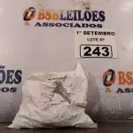 LOTE 243 - 01 JOGO DE PORCAS MOPAR. (NO ESTADO) ATENÇÃO! FAZER A VISITAÇÃO ANTES DE ARREMATAR, NÃO SABEMOS SE FUNCIONA. LEILÃO NÃO TEM GARANTIA E NEM DEVOLUÇÃO, SUJEITO A POSSÍVEIS AVARIAS VISÍVEIS/OCULTAS E/OU AUSÊNCIA DE COMPONENTES.