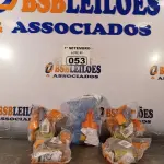 LOTE 053 - 01 LOTE COM VÁRIOS REGISTROS EM METAL MARCAS E MODELOS DIVERSOS. (NO ESTADO) ATENÇÃO! FAZER A VISITAÇÃO ANTES DE ARREMATAR, NÃO SABEMOS SE FUNCIONA. LEILÃO NÃO TEM GARANTIA E NEM DEVOLUÇÃO, SUJEITO A POSSÍVEIS AVARIAS VISÍVEIS/OCULTAS E/OU AUSÊNCIA DE COMPONENTES.