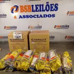LOTE 167 - 12 LÂMPADAS FLUORESCENTE CIRCULAR 6400K 22W E 12 REATORES 1X22W. (NO ESTADO) ATENÇÃO! FAZER A VISITAÇÃO ANTES DE ARREMATAR, NÃO SABEMOS SE FUNCIONA. LEILÃO NÃO TEM GARANTIA E NEM DEVOLUÇÃO, SUJEITO A POSSÍVEIS AVARIAS VISÍVEIS/OCULTAS E/OU AUSÊNCIA DE COMPONENTES.