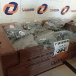 LOTE 484 - 01 LOTE COM GRANDE QUANTIDADE DE PRESILHAIS PARA FITAS DE AÇO. (NO ESTADO) ATENÇÃO! FAZER A VISITAÇÃO ANTES DE ARREMATAR, NÃO SABEMOS SE FUNCIONA. LEILÃO NÃO TEM GARANTIA E NEM DEVOLUÇÃO, SUJEITO A POSSÍVEIS AVARIAS VISÍVEIS/OCULTAS E/OU AUSÊNCIA DE COMPONENTES.