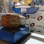 LOTE 456 - 01 BALANÇA ANALÓGICA BRIÃO CAPACIDADE 150KG E 02 BOTIJÕES DE GÁS P2. (NO ESTADO) ATENÇÃO! FAZER A VISITAÇÃO ANTES DE ARREMATAR, NÃO SABEMOS SE FUNCIONA. LEILÃO NÃO TEM GARANTIA E NEM DEVOLUÇÃO, SUJEITO A POSSÍVEIS AVARIAS VISÍVEIS/OCULTAS E/OU AUSÊNCIA DE COMPONENTES.