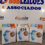 LOTE 414 - 03 BONECOS JOÃO TEIMOSO GOLFINHO. (NO ESTADO) ATENÇÃO! FAZER A VISITAÇÃO ANTES DE ARREMATAR, NÃO SABEMOS SE FUNCIONA. LEILÃO NÃO TEM GARANTIA E NEM DEVOLUÇÃO, SUJEITO A POSSÍVEIS AVARIAS VISÍVEIS/OCULTAS E/OU AUSÊNCIA DE COMPONENTES.