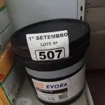LOTE 507 - 01 BALDE DE GRAXA EVORA POLY EX NLGI:2 10 KG. (NO ESTADO) ATENÇÃO! FAZER A VISITAÇÃO ANTES DE ARREMATAR, NÃO SABEMOS SE FUNCIONA. LEILÃO NÃO TEM GARANTIA E NEM DEVOLUÇÃO, SUJEITO A POSSÍVEIS AVARIAS VISÍVEIS/OCULTAS E/OU AUSÊNCIA DE COMPONENTES.
