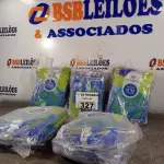 LOTE 327 - 05 PACOTES DE LUVAS DE LÁTEX SILVER TAMANHO “P”. (NO ESTADO) ATENÇÃO! FAZER A VISITAÇÃO ANTES DE ARREMATAR, NÃO SABEMOS SE FUNCIONA. LEILÃO NÃO TEM GARANTIA E NEM DEVOLUÇÃO, SUJEITO A POSSÍVEIS AVARIAS VISÍVEIS/OCULTAS E/OU AUSÊNCIA DE COMPONENTES.