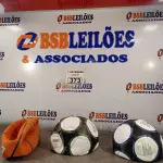 LOTE 373 - 01 BOLA DE BASQUETE E 02 BOLAS DE FUTEBOL. (NO ESTADO) ATENÇÃO! FAZER A VISITAÇÃO ANTES DE ARREMATAR, NÃO SABEMOS SE FUNCIONA. LEILÃO NÃO TEM GARANTIA E NEM DEVOLUÇÃO, SUJEITO A POSSÍVEIS AVARIAS VISÍVEIS/OCULTAS E/OU AUSÊNCIA DE COMPONENTES.
