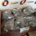 LOTE 484 - 01 LOTE COM GRANDE QUANTIDADE DE PRESILHAIS PARA FITAS DE AÇO. (NO ESTADO) ATENÇÃO! FAZER A VISITAÇÃO ANTES DE ARREMATAR, NÃO SABEMOS SE FUNCIONA. LEILÃO NÃO TEM GARANTIA E NEM DEVOLUÇÃO, SUJEITO A POSSÍVEIS AVARIAS VISÍVEIS/OCULTAS E/OU AUSÊNCIA DE COMPONENTES.