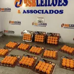 LOTE 391 - 01 LOTE COM VÁRIAS CARTELAS DE REFIL SUPER SHOT “BOLAS”. (NO ESTADO) ATENÇÃO! FAZER A VISITAÇÃO ANTES DE ARREMATAR, NÃO SABEMOS SE FUNCIONA. LEILÃO NÃO TEM GARANTIA E NEM DEVOLUÇÃO, SUJEITO A POSSÍVEIS AVARIAS VISÍVEIS/OCULTAS E/OU AUSÊNCIA DE COMPONENTES.