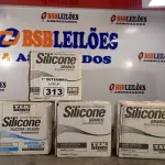 LOTE 313 - 04 CAIXAS COM BISNAGAS DE SILICONE ACÉTICO TRANSPARENTE COM 12 UNIDADES CADA. (NO ESTADO) ATENÇÃO! FAZER A VISITAÇÃO ANTES DE ARREMATAR, NÃO SABEMOS SE FUNCIONA. LEILÃO NÃO TEM GARANTIA E NEM DEVOLUÇÃO, SUJEITO A POSSÍVEIS AVARIAS VISÍVEIS/OCULTAS E/OU AUSÊNCIA DE COMPONENTES.
