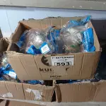 LOTE 593 - 01 LOTE COM GRANDE QUANTIDADE DE CONJUNTOS NE NEBULIZAÇÃO. (NO ESTADO) ATENÇÃO! FAZER A VISITAÇÃO ANTES DE ARREMATAR, NÃO SABEMOS SE FUNCIONA. LEILÃO NÃO TEM GARANTIA E NEM DEVOLUÇÃO, SUJEITO A POSSÍVEIS AVARIAS VISÍVEIS/OCULTAS E/OU AUSÊNCIA DE COMPONENTES.