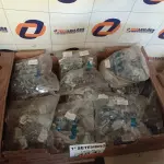 LOTE 484 - 01 LOTE COM GRANDE QUANTIDADE DE PRESILHAIS PARA FITAS DE AÇO. (NO ESTADO) ATENÇÃO! FAZER A VISITAÇÃO ANTES DE ARREMATAR, NÃO SABEMOS SE FUNCIONA. LEILÃO NÃO TEM GARANTIA E NEM DEVOLUÇÃO, SUJEITO A POSSÍVEIS AVARIAS VISÍVEIS/OCULTAS E/OU AUSÊNCIA DE COMPONENTES.