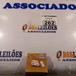 LOTE 262 - 01 POLIA DA CORREIA DO NISSAN MARCH. (NO ESTADO) ATENÇÃO! FAZER A VISITAÇÃO ANTES DE ARREMATAR, NÃO SABEMOS SE FUNCIONA. LEILÃO NÃO TEM GARANTIA E NEM DEVOLUÇÃO, SUJEITO A POSSÍVEIS AVARIAS VISÍVEIS/OCULTAS E/OU AUSÊNCIA DE COMPONENTES.