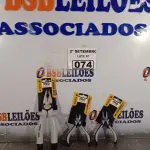LOTE 074 - 01 KIT COM 03 ALICATES. (NO ESTADO) ATENÇÃO! FAZER A VISITAÇÃO ANTES DE ARREMATAR, NÃO SABEMOS SE FUNCIONA. LEILÃO NÃO TEM GARANTIA E NEM DEVOLUÇÃO, SUJEITO A POSSÍVEIS AVARIAS VISÍVEIS/OCULTAS E/OU AUSÊNCIA DE COMPONENTES.
