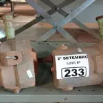 LOTE 233 - 02 BOMBAS D’AGUA. (NO ESTADO) ATENÇÃO! FAZER A VISITAÇÃO ANTES DE ARREMATAR, NÃO SABEMOS SE FUNCIONA. LEILÃO NÃO TEM GARANTIA E NEM DEVOLUÇÃO, SUJEITO A POSSÍVEIS AVARIAS VISÍVEIS/OCULTAS E/OU AUSÊNCIA DE COMPONENTES.