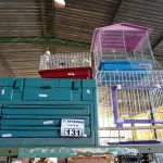 LOTE 131 - 01 RISCADOR PARA PISOS, 01 MALETA PARA FERRAMENTAS “VAZIA” E 03 GAIOLAS PARA HAMSTER MODELOS DIVERSOS.  (NO ESTADO) ATENÇÃO! FAZER A VISITAÇÃO ANTES DE ARREMATAR, NÃO SABEMOS SE FUNCIONA. LEILÃO NÃO TEM GARANTIA E NEM DEVOLUÇÃO, SUJEITO A POSSÍVEIS AVARIAS VISÍVEIS/OCULTAS E/OU AUSÊNCIA DE COMPONENTES.