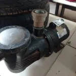 LOTE 443 - 01 BOMBA D’AGUA. (NO ESTADO) ATENÇÃO! FAZER A VISITAÇÃO ANTES DE ARREMATAR, NÃO SABEMOS SE FUNCIONA. LEILÃO NÃO TEM GARANTIA E NEM DEVOLUÇÃO, SUJEITO A POSSÍVEIS AVARIAS VISÍVEIS/OCULTAS E/OU AUSÊNCIA DE COMPONENTES.