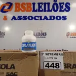 LOTE 448 - 02 CAIXAS COM COLA TUBO ST 175G COM 15 FRASCOS CADA. (NO ESTADO) ATENÇÃO! FAZER A VISITAÇÃO ANTES DE ARREMATAR, NÃO SABEMOS SE FUNCIONA. LEILÃO NÃO TEM GARANTIA E NEM DEVOLUÇÃO, SUJEITO A POSSÍVEIS AVARIAS VISÍVEIS/OCULTAS E/OU AUSÊNCIA DE COMPONENTES.