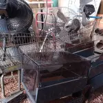 LOTE 607 - 02 CARRINHOS DE SUPERMERCADO, VÁRIOS VENTILADORES E 04 CAIXAS ORGANIZADORAS. (NO ESTADO) ATENÇÃO! FAZER A VISITAÇÃO ANTES DE ARREMATAR, NÃO SABEMOS SE FUNCIONA. LEILÃO NÃO TEM GARANTIA E NEM DEVOLUÇÃO, SUJEITO A POSSÍVEIS AVARIAS VISÍVEIS/OCULTAS E/OU AUSÊNCIA DE COMPONENTES.