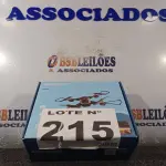 LOTE 215 - 01 - DRONE MULTILASER EAGLE CÂM HD 1280P (NO ESTADO, NÃO SABEMOS SE FUNCIONA. LEILÃO NÃO TEM GARANTIA E NEM DEVOLUÇÃO, SUJEITO A POSSÍVEIS AVARIAS VISÍVEIS/OCULTAS E/OU AUSÊNCIA DE COMPONENTES)