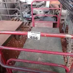 LOTE 606 - 01 CARRINHO PARA TRANSPORTE DE CARGAS COM AVARIAS. (NO ESTADO) ATENÇÃO! FAZER A VISITAÇÃO ANTES DE ARREMATAR, NÃO SABEMOS SE FUNCIONA. LEILÃO NÃO TEM GARANTIA E NEM DEVOLUÇÃO, SUJEITO A POSSÍVEIS AVARIAS VISÍVEIS/OCULTAS E/OU AUSÊNCIA DE COMPONENTES.