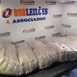 LOTE 174 - 01 - ALMOFADA FUTON 1,50X0,48 (NO ESTADO, NÃO SABEMOS SE FUNCIONA. LEILÃO NÃO TEM GARANTIA E NEM DEVOLUÇÃO, SUJEITO A POSSÍVEIS AVARIAS VISÍVEIS/OCULTAS E/OU AUSÊNCIA DE COMPONENTES)