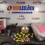 LOTE 159 - 20 – ITENS PARA PETS (NO ESTADO, NÃO SABEMOS SE FUNCIONA. LEILÃO NÃO TEM GARANTIA E NEM DEVOLUÇÃO, SUJEITO A POSSÍVEIS AVARIAS VISÍVEIS/OCULTAS E/OU AUSÊNCIA DE COMPONENTES)