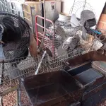 LOTE 607 - 02 CARRINHOS DE SUPERMERCADO, VÁRIOS VENTILADORES E 04 CAIXAS ORGANIZADORAS. (NO ESTADO) ATENÇÃO! FAZER A VISITAÇÃO ANTES DE ARREMATAR, NÃO SABEMOS SE FUNCIONA. LEILÃO NÃO TEM GARANTIA E NEM DEVOLUÇÃO, SUJEITO A POSSÍVEIS AVARIAS VISÍVEIS/OCULTAS E/OU AUSÊNCIA DE COMPONENTES.