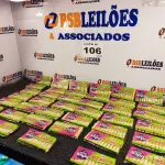 LOTE 106 - 1200 - PRENDEDORES DE MADEIRA (NO ESTADO, NÃO SABEMOS SE FUNCIONA. LEILÃO NÃO TEM GARANTIA E NEM DEVOLUÇÃO, SUJEITO A POSSÍVEIS AVARIAS VISÍVEIS/OCULTAS E/OU AUSÊNCIA DE COMPONENTES)