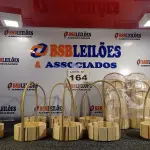 LOTE 164 - 18 – CESTAS DE MADEIRA (NO ESTADO, NÃO SABEMOS SE FUNCIONA. LEILÃO NÃO TEM GARANTIA E NEM DEVOLUÇÃO, SUJEITO A POSSÍVEIS AVARIAS VISÍVEIS/OCULTAS E/OU AUSÊNCIA DE COMPONENTES)
