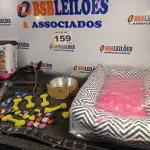 LOTE 159 - 20 – ITENS PARA PETS (NO ESTADO, NÃO SABEMOS SE FUNCIONA. LEILÃO NÃO TEM GARANTIA E NEM DEVOLUÇÃO, SUJEITO A POSSÍVEIS AVARIAS VISÍVEIS/OCULTAS E/OU AUSÊNCIA DE COMPONENTES)
