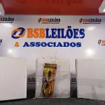 LOTE 141 - 37 – ALICATES DE CORTES (NO ESTADO, NÃO SABEMOS SE FUNCIONA. LEILÃO NÃO TEM GARANTIA E NEM DEVOLUÇÃO, SUJEITO A POSSÍVEIS AVARIAS VISÍVEIS/OCULTAS E/OU AUSÊNCIA DE COMPONENTES)