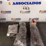 LOTE 153 - 08 - APLIQUES PARA CABELOS (NO ESTADO, NÃO SABEMOS SE FUNCIONA. LEILÃO NÃO TEM GARANTIA E NEM DEVOLUÇÃO, SUJEITO A POSSÍVEIS AVARIAS VISÍVEIS/OCULTAS E/OU AUSÊNCIA DE COMPONENTES)