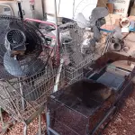 LOTE 607 - 02 CARRINHOS DE SUPERMERCADO, VÁRIOS VENTILADORES E 04 CAIXAS ORGANIZADORAS. (NO ESTADO) ATENÇÃO! FAZER A VISITAÇÃO ANTES DE ARREMATAR, NÃO SABEMOS SE FUNCIONA. LEILÃO NÃO TEM GARANTIA E NEM DEVOLUÇÃO, SUJEITO A POSSÍVEIS AVARIAS VISÍVEIS/OCULTAS E/OU AUSÊNCIA DE COMPONENTES.