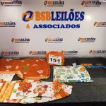 LOTE 151 - 10 – ITENS DE ENXOVAL DIVERSOS (NO ESTADO, NÃO SABEMOS SE FUNCIONA. LEILÃO NÃO TEM GARANTIA E NEM DEVOLUÇÃO, SUJEITO A POSSÍVEIS AVARIAS VISÍVEIS/OCULTAS E/OU AUSÊNCIA DE COMPONENTES)