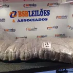 LOTE 174 - 01 - ALMOFADA FUTON 1,50X0,48 (NO ESTADO, NÃO SABEMOS SE FUNCIONA. LEILÃO NÃO TEM GARANTIA E NEM DEVOLUÇÃO, SUJEITO A POSSÍVEIS AVARIAS VISÍVEIS/OCULTAS E/OU AUSÊNCIA DE COMPONENTES)