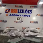 LOTE 161 - 17 – ITENS DE BANHEIRO (NO ESTADO, NÃO SABEMOS SE FUNCIONA. LEILÃO NÃO TEM GARANTIA E NEM DEVOLUÇÃO, SUJEITO A POSSÍVEIS AVARIAS VISÍVEIS/OCULTAS E/OU AUSÊNCIA DE COMPONENTES)