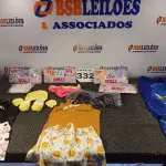 LOTE 332 - 31 – PEÇAS DE ROUPAS INFANTIL DIVERSAS (NO ESTADO, NÃO SABEMOS SE FUNCIONA. LEILÃO NÃO TEM GARANTIA E NEM DEVOLUÇÃO, SUJEITO A POSSÍVEIS AVARIAS VISÍVEIS/OCULTAS E/OU AUSÊNCIA DE COMPONENTES)
