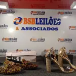 LOTE 281 - 02 – PARES DE CALÇADOS FEMININO Nº 37 (NO ESTADO, NÃO SABEMOS SE FUNCIONA. LEILÃO NÃO TEM GARANTIA E NEM DEVOLUÇÃO, SUJEITO A POSSÍVEIS AVARIAS VISÍVEIS/OCULTAS E/OU AUSÊNCIA DE COMPONENTES)