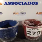 LOTE 279 - 02 - VASOS DE PLANTAS (NO ESTADO, NÃO SABEMOS SE FUNCIONA. LEILÃO NÃO TEM GARANTIA E NEM DEVOLUÇÃO, SUJEITO A POSSÍVEIS AVARIAS VISÍVEIS/OCULTAS E/OU AUSÊNCIA DE COMPONENTES)