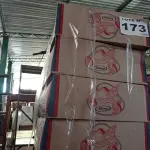 LOTE 173 - 05 - TRICICLO INFANTIL (NO ESTADO, NÃO SABEMOS SE FUNCIONA. LEILÃO NÃO TEM GARANTIA E NEM DEVOLUÇÃO, SUJEITO A POSSÍVEIS AVARIAS VISÍVEIS/OCULTAS E/OU AUSÊNCIA DE COMPONENTES)
