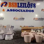 LOTE 263 - 02 – PARES DE CALÇADOS FEMININO Nº 38 (NO ESTADO, NÃO SABEMOS SE FUNCIONA. LEILÃO NÃO TEM GARANTIA E NEM DEVOLUÇÃO, SUJEITO A POSSÍVEIS AVARIAS VISÍVEIS/OCULTAS E/OU AUSÊNCIA DE COMPONENTES)