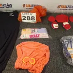 LOTE 288 - 12 – PEÇAS DE ROUPAS INFANTIL DIVERSAS (NO ESTADO, NÃO SABEMOS SE FUNCIONA. LEILÃO NÃO TEM GARANTIA E NEM DEVOLUÇÃO, SUJEITO A POSSÍVEIS AVARIAS VISÍVEIS/OCULTAS E/OU AUSÊNCIA DE COMPONENTES)