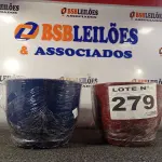 LOTE 279 - 02 - VASOS DE PLANTAS (NO ESTADO, NÃO SABEMOS SE FUNCIONA. LEILÃO NÃO TEM GARANTIA E NEM DEVOLUÇÃO, SUJEITO A POSSÍVEIS AVARIAS VISÍVEIS/OCULTAS E/OU AUSÊNCIA DE COMPONENTES)