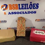 LOTE 296 - 03 – PARES DE CALÇADOS FEMININOS Nº 35 (NO ESTADO, NÃO SABEMOS SE FUNCIONA. LEILÃO NÃO TEM GARANTIA E NEM DEVOLUÇÃO, SUJEITO A POSSÍVEIS AVARIAS VISÍVEIS/OCULTAS E/OU AUSÊNCIA DE COMPONENTES)