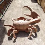 LOTE 243 - RARA E ÚNICA ESCULTURA DE CARANGUEJO IMPORTADA PEÇA RARÍSSIMA  (NO ESTADO)