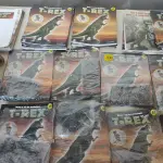 LOTE 485 - COLEÇÃO DE MONTAR FASCÍCULOS T REX DA SALVAR COM 50 REVISITAS, (NO ESTADO)