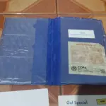 LOTE 610 - MANUAL GOL ESPECIAL (NO ESTADO)